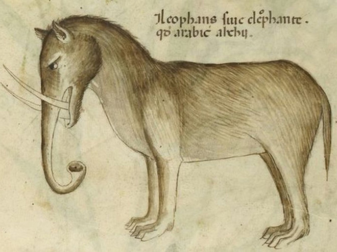 This is how medieval artists painted elephants.