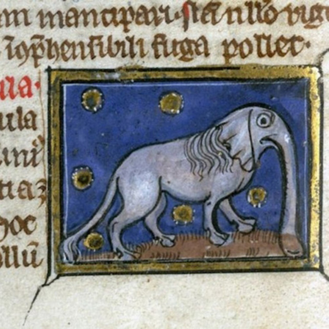 This is how medieval artists painted elephants.