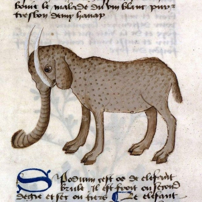 This is how medieval artists painted elephants.