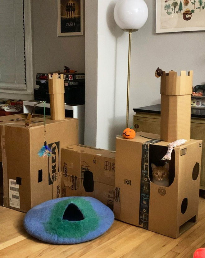 Cardboard cat castle.