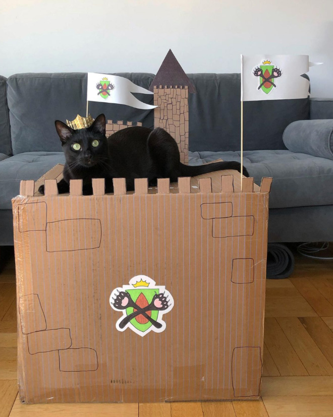 Cardboard cat castle.