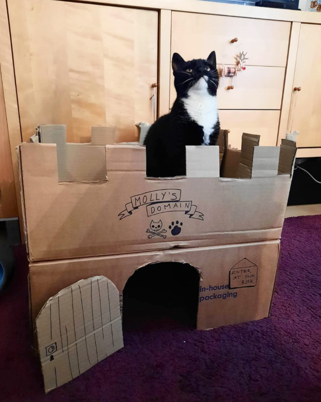 Cardboard cat castle.