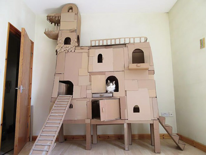 Cardboard cat castle.