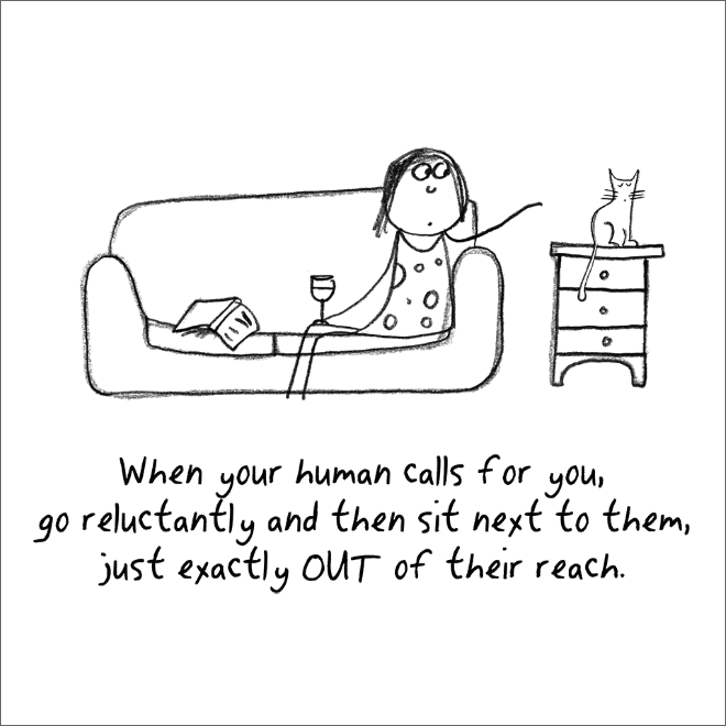 Great tip on how to be a cat.