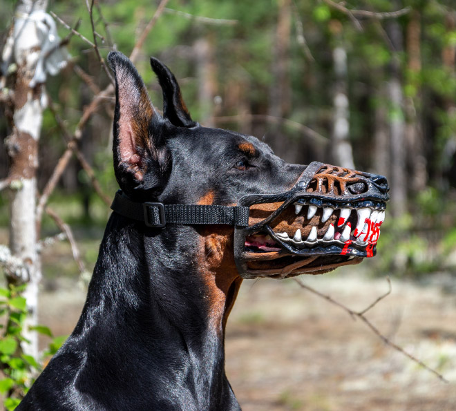 Werewolf dog muzzle.