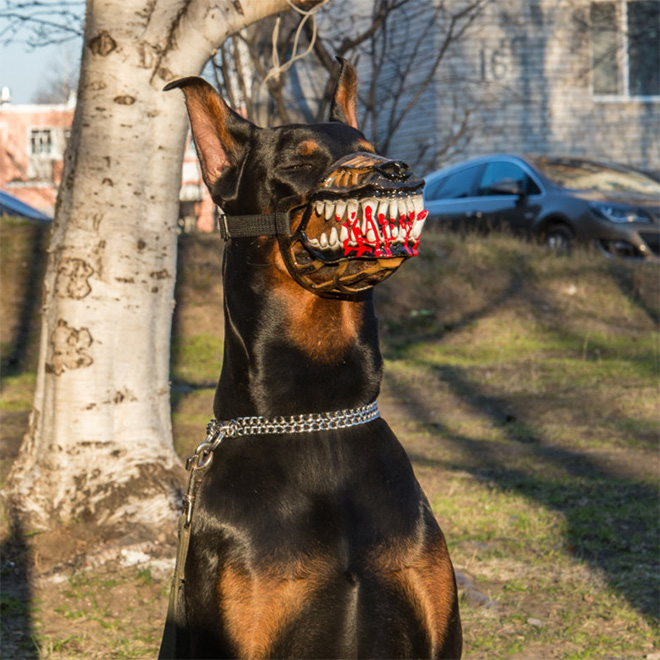 Werewolf dog muzzle.