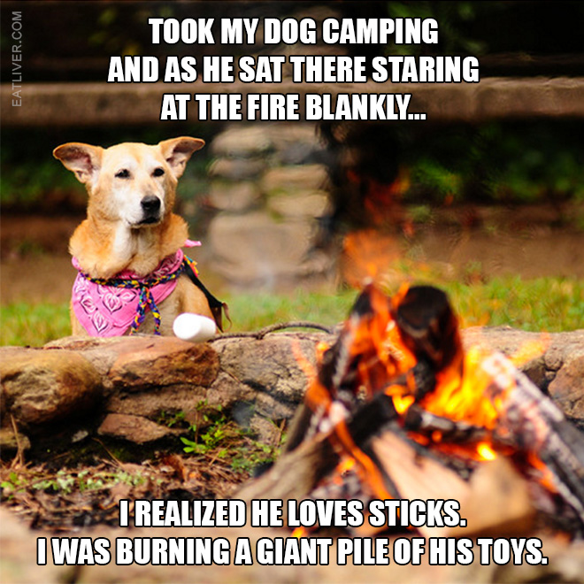 ...as he sat there staring at the fire blankly, I realized he loves sticks. I was burning a giant pile of his toys.