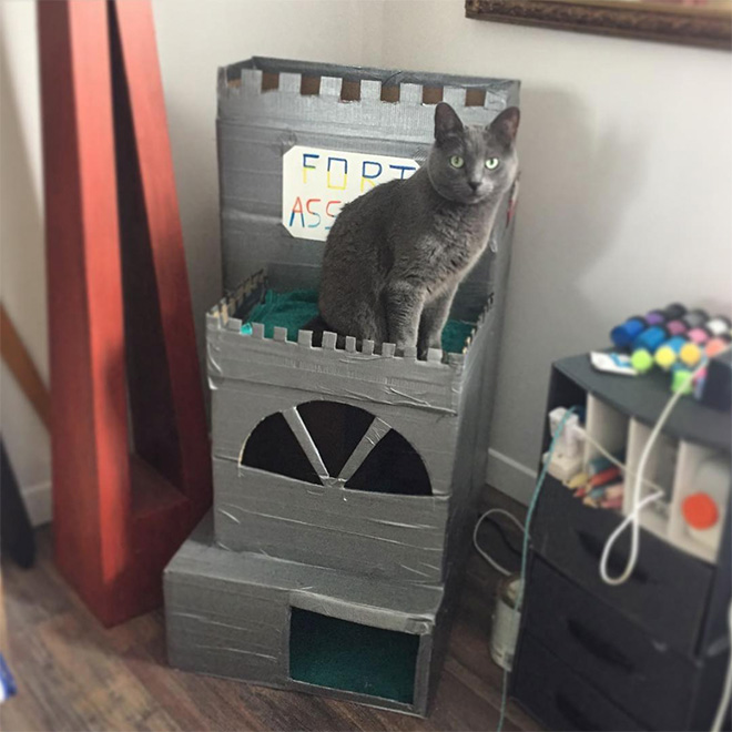Perfect house for your cat.