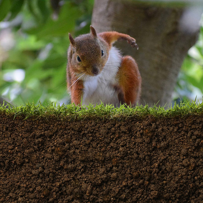 Superhero landing pose.