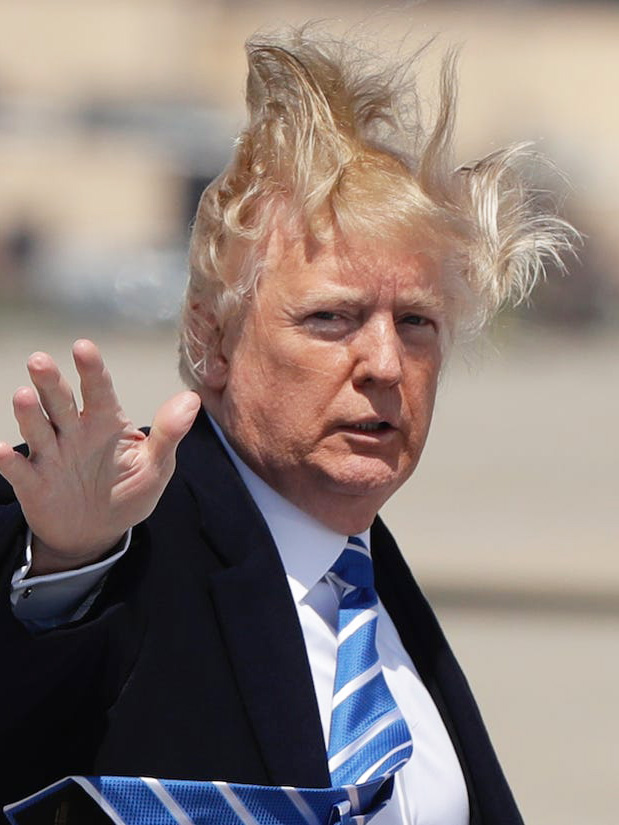 Trump always loses to wind.