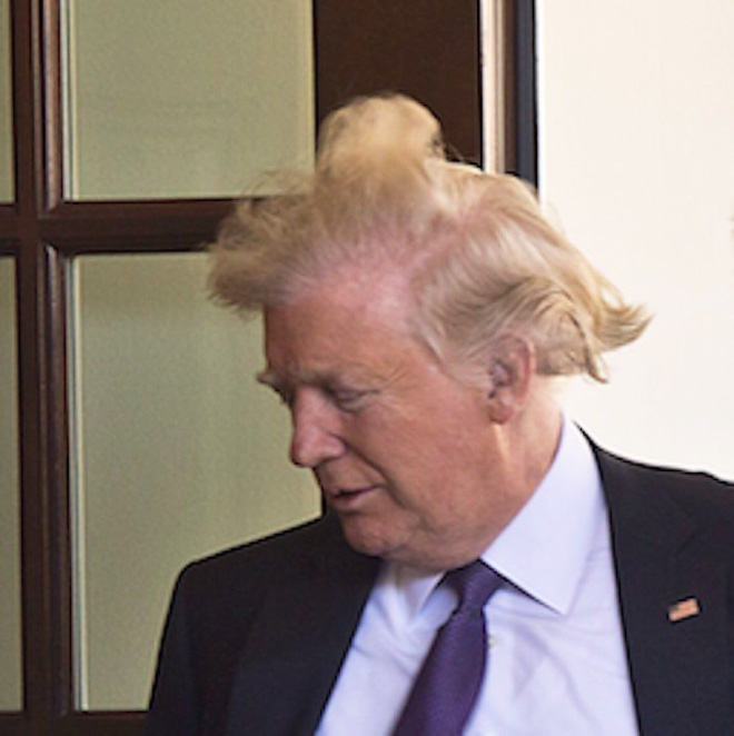 Trump always loses to wind.