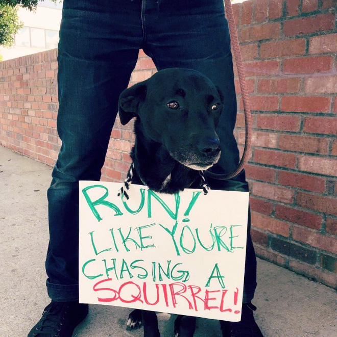 Brilliantly inspiring marathon sign.