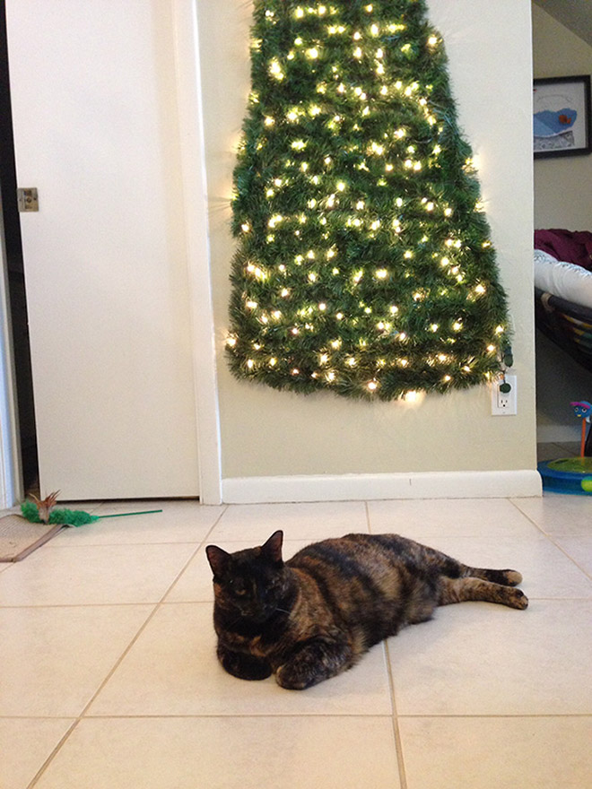 How to protect your Christmas tree from pets.