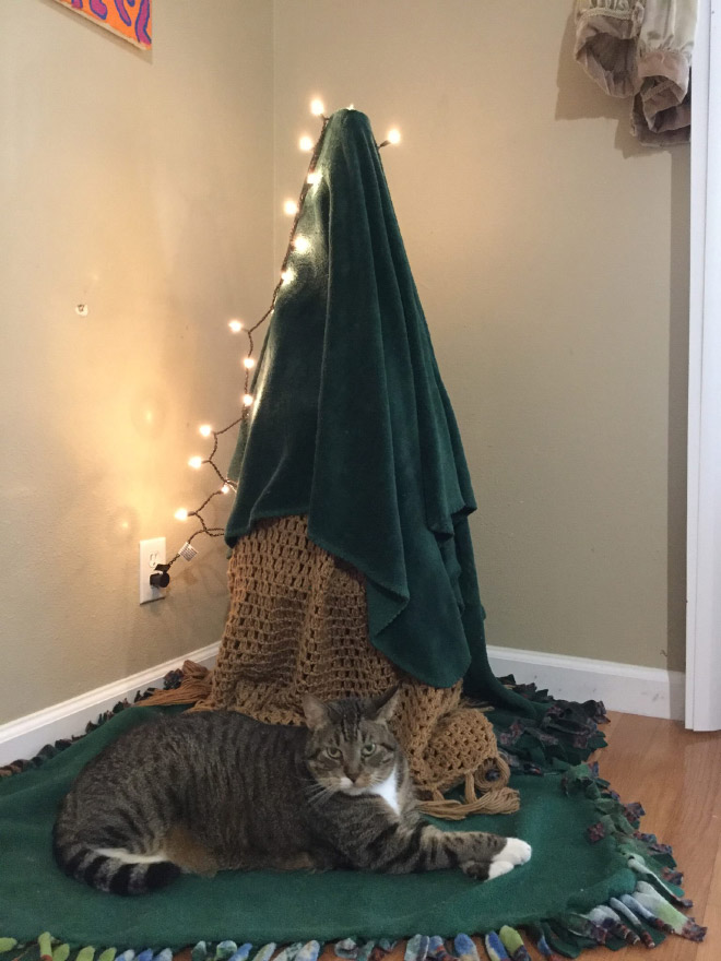 How to protect your Christmas tree from pets.