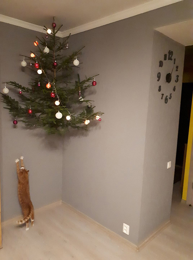 How to protect your Christmas tree from pets.