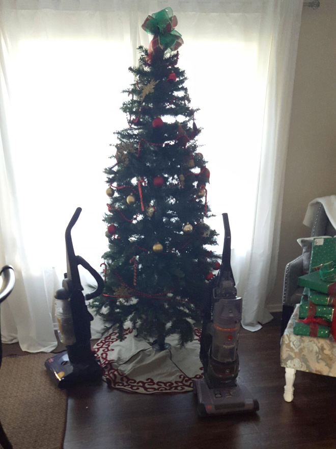 How to protect your Christmas tree from pets.