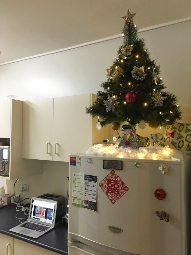 How to protect your Christmas tree from pets.