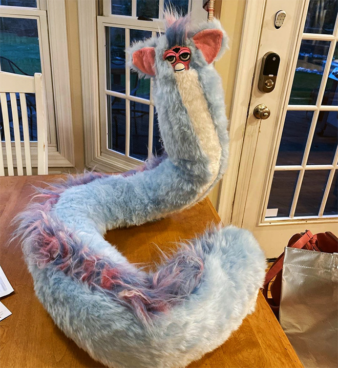 Long Furbies are terrifying.