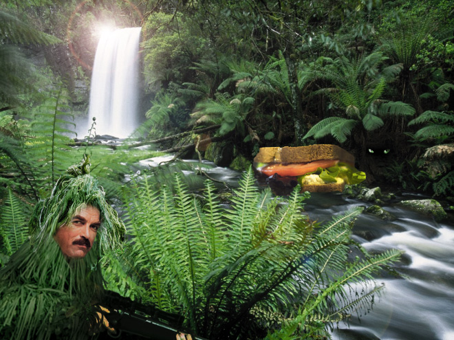 Tom Selleck hanging out with a sandwich in a waterfall.