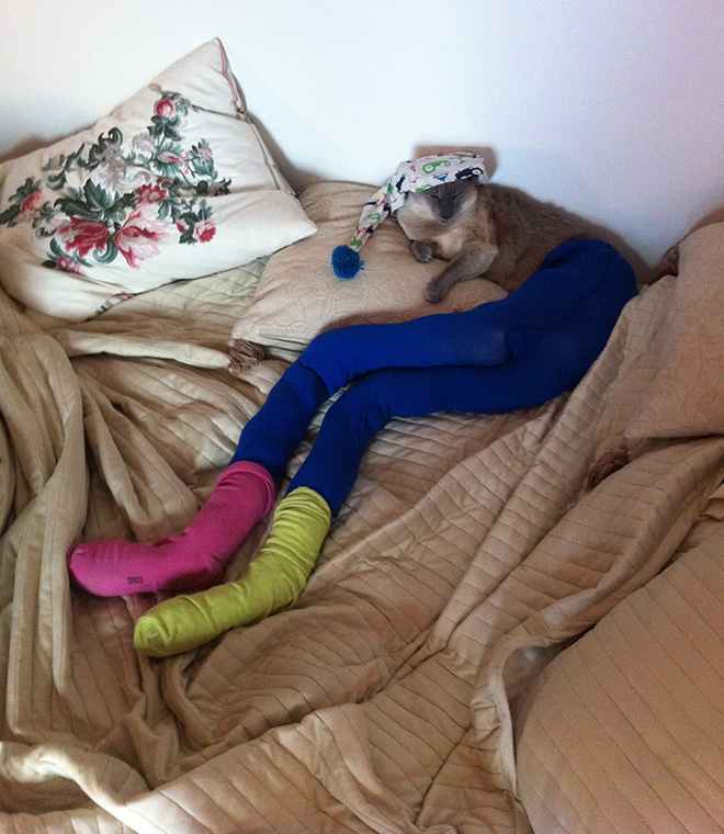 Cat in tights.