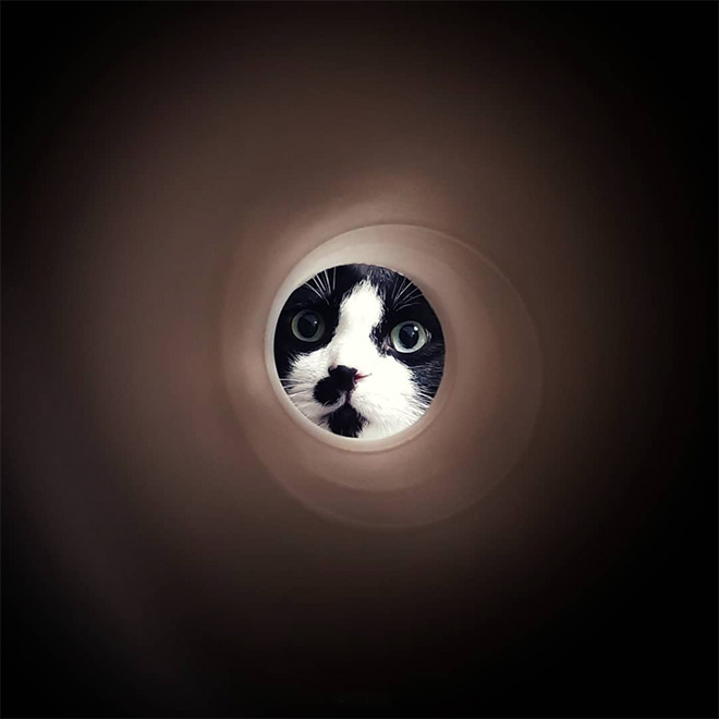 Toilet paper roll Moon photo.