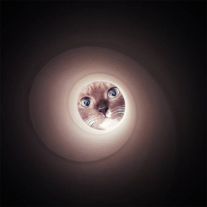 Toilet paper roll Moon photo.