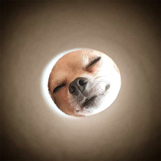 Toilet paper roll Moon photo.