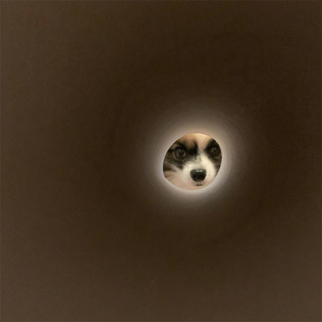 Toilet paper roll Moon photo.