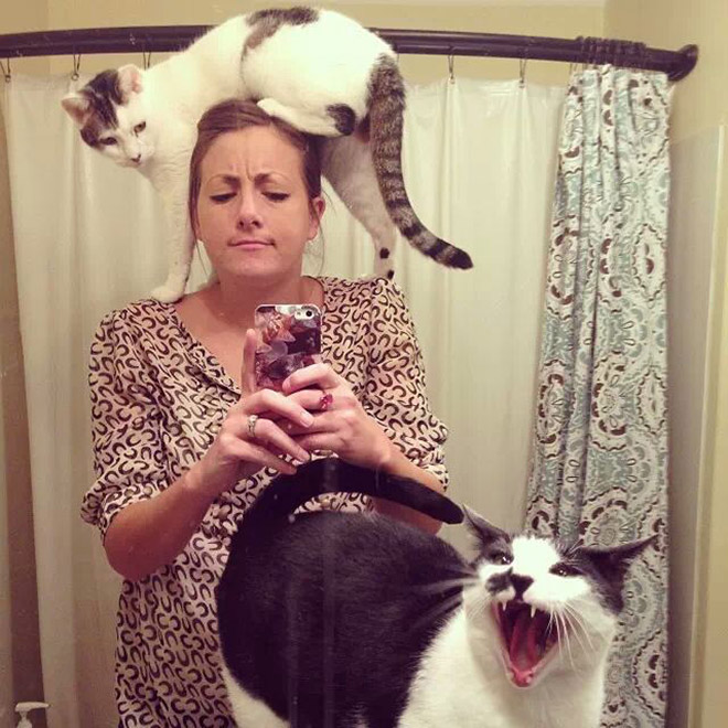 Not all cats like participating in selfies.