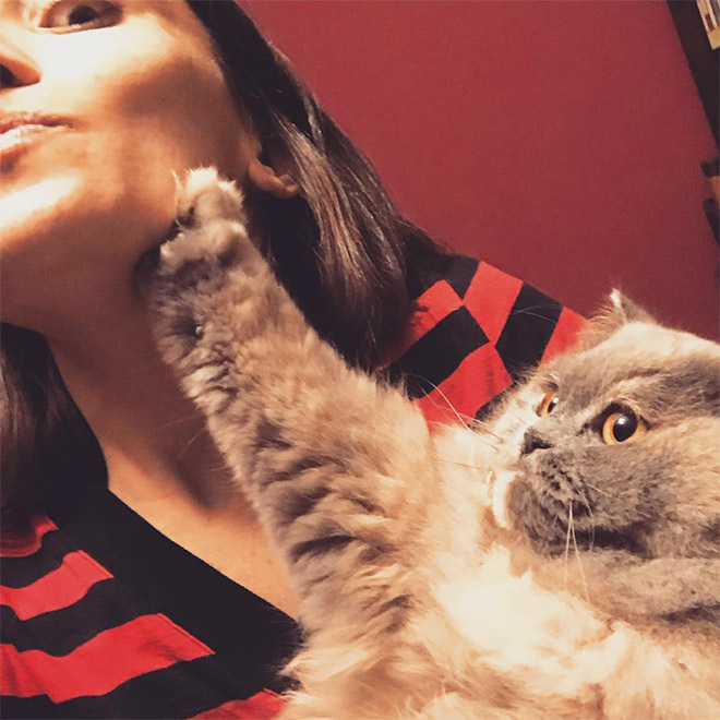 Not all cats like participating in selfies.