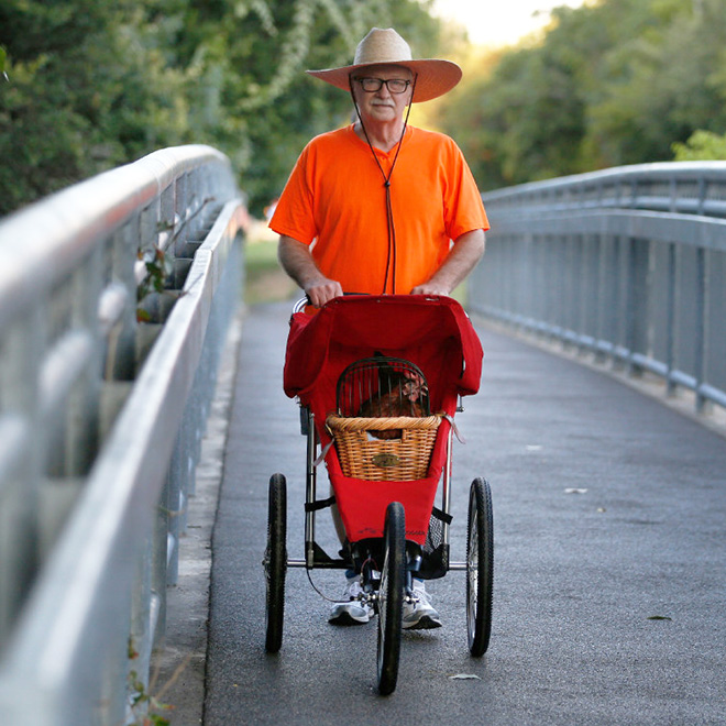 Chicken stroller.