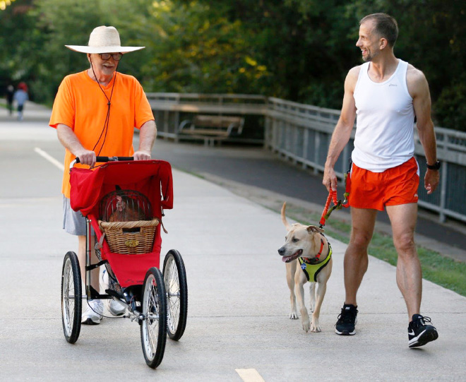 Chicken stroller.