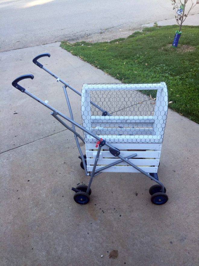 Chicken stroller.