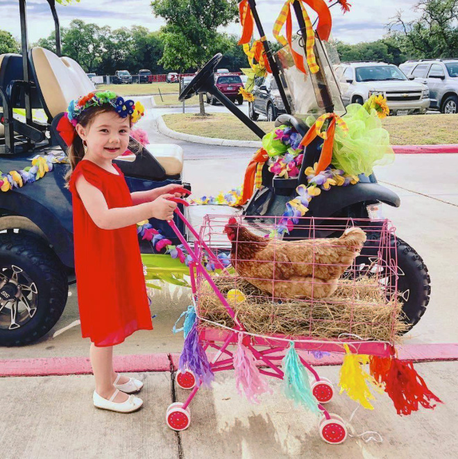 Chicken stroller.