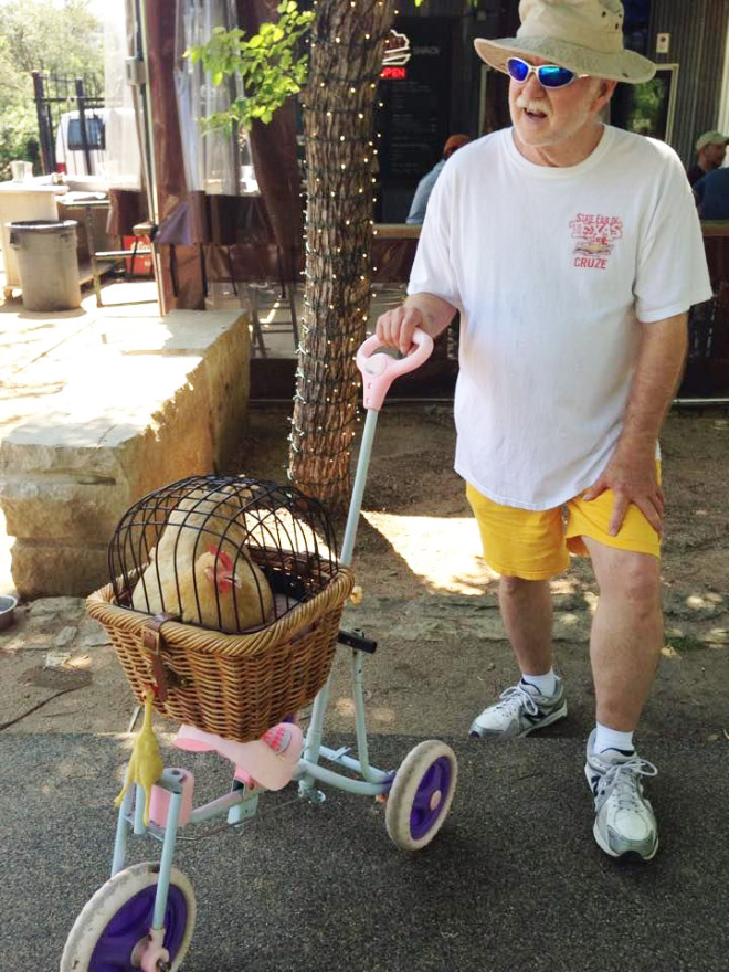 Chicken stroller.