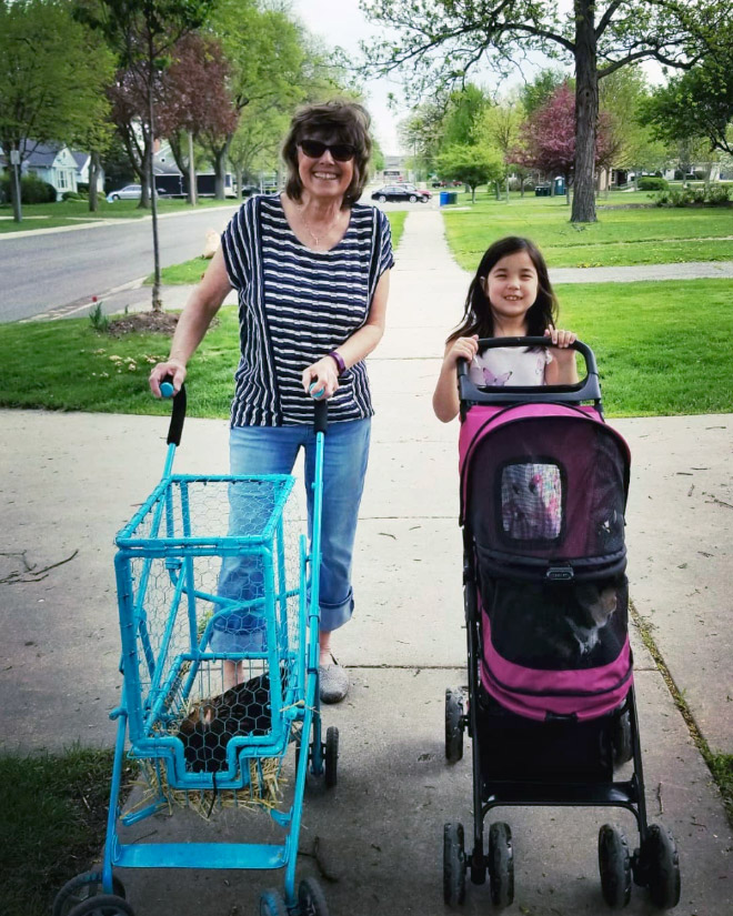 Chicken stroller.