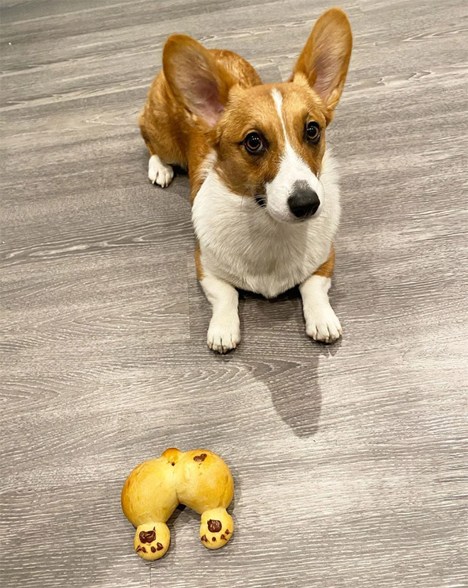 Delicious corgi butt bread.