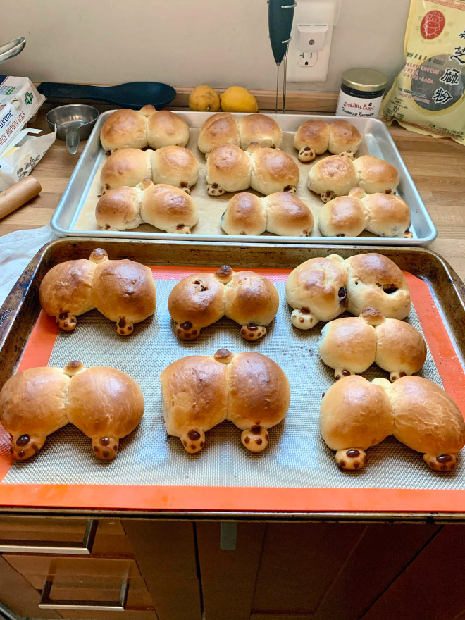 Delicious corgi butt bread.