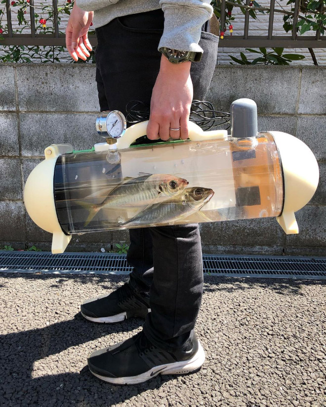 A bag to carry your pet fish around.