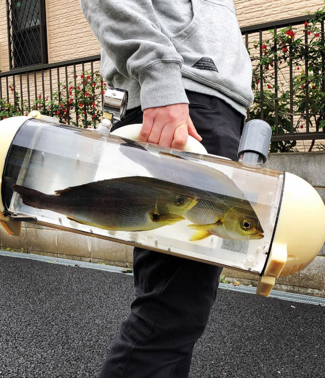 A bag to carry your pet fish around.