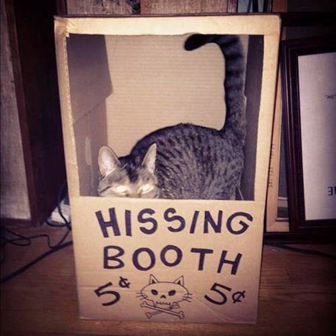 A perfect booth for this little monster.