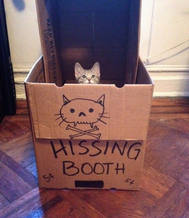 A perfect booth for this little monster.