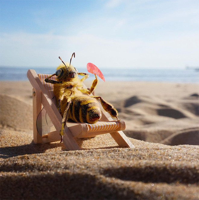 Bee influencer Instagram picture.