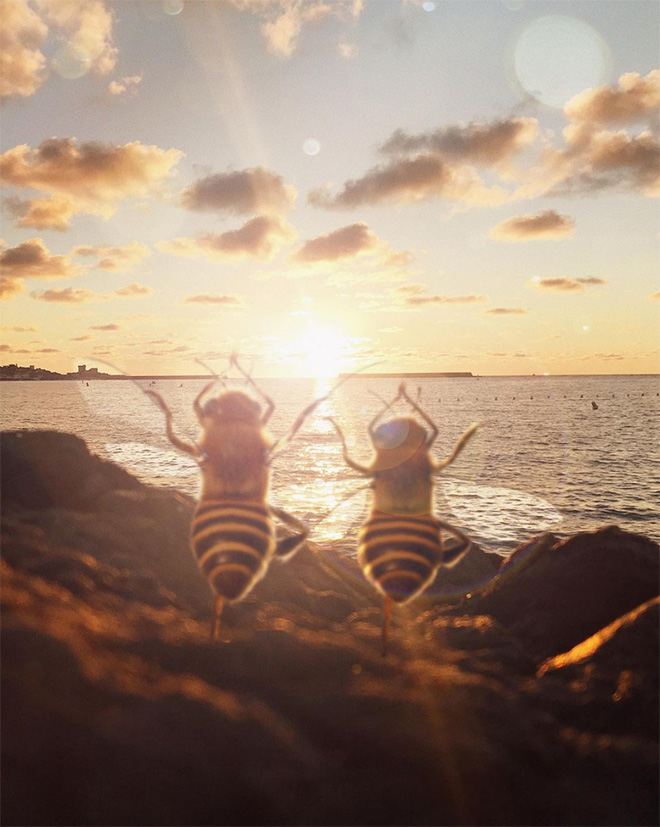 Bee influencer Instagram picture.