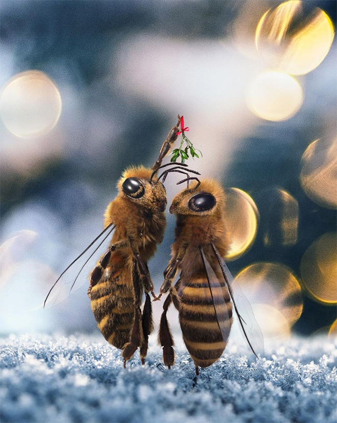 Bee influencer Instagram picture.