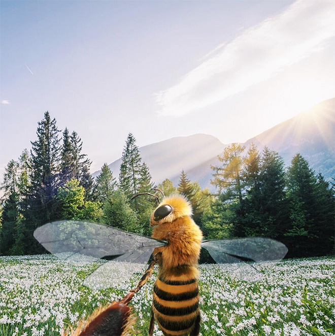 Bee influencer Instagram picture.