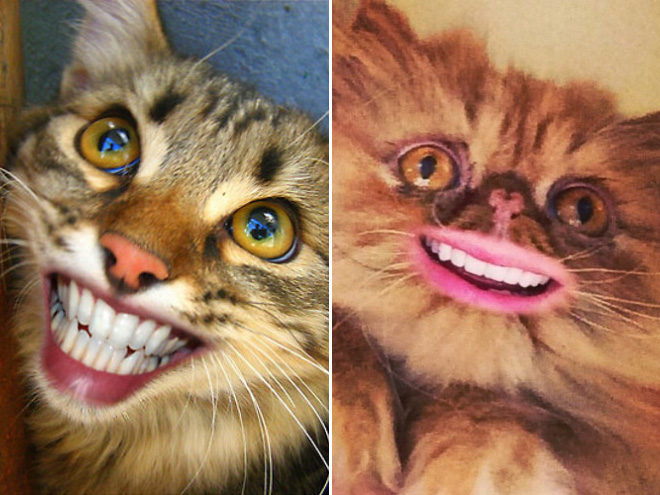 Cats with human mouths are horrifying.