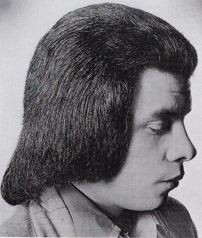 1970s was a weird decade for men's hairstyles.