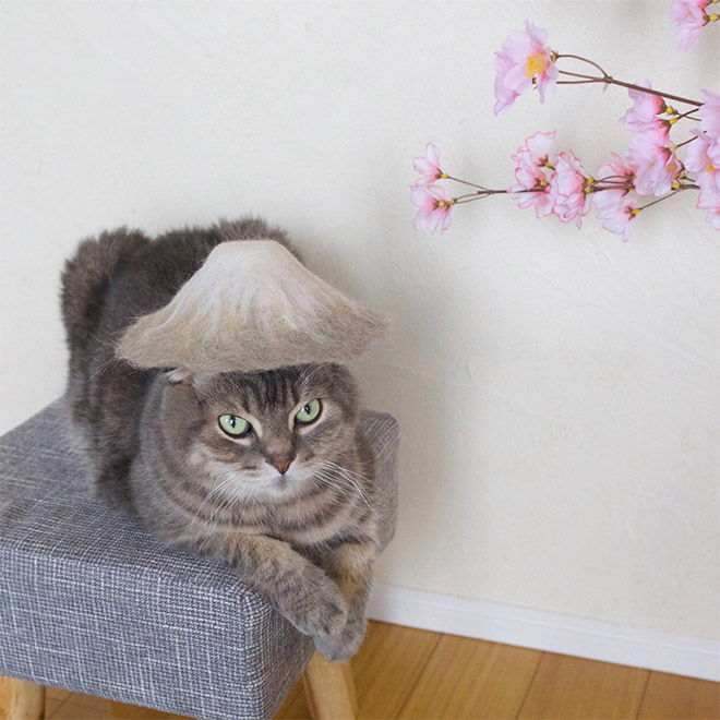 A hat made from cat's own fur? Why not!