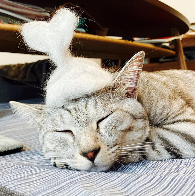 A hat made from cat's own fur? Why not!